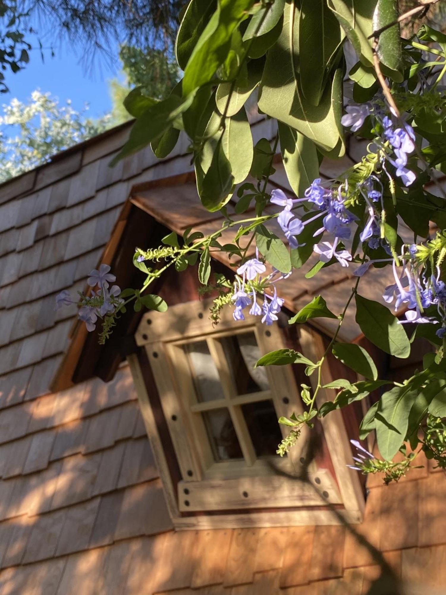 Mas Del Flor Panzió Villelongue-dels-Monts Szoba fotó